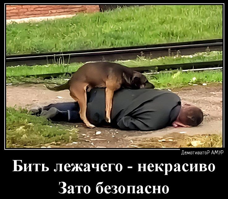 Бить лежачего некрасиво Зато безопасно