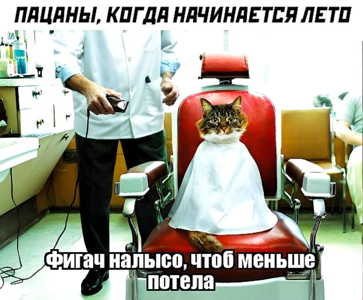 ПдЦдНЫ КПГ ДЛ НЛЧИНПЕ ТЕЛ ЛЕ ТП и У