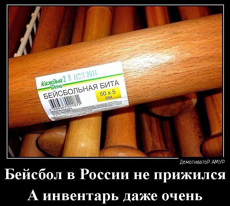 ц тмвд и Бейсбол в России не прижился А инвентарь даже очень