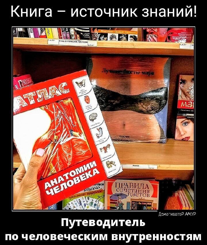 Книга источник знаний Путеводитель по Ч ЕЛОВЕЧЕСКИМ ВНУТРЕННОСТЯМ
