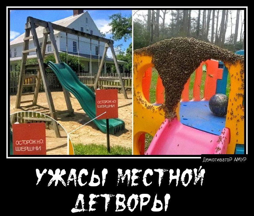 УЖАСЫ МЕСТНОЙ ДЕТВОРЫ