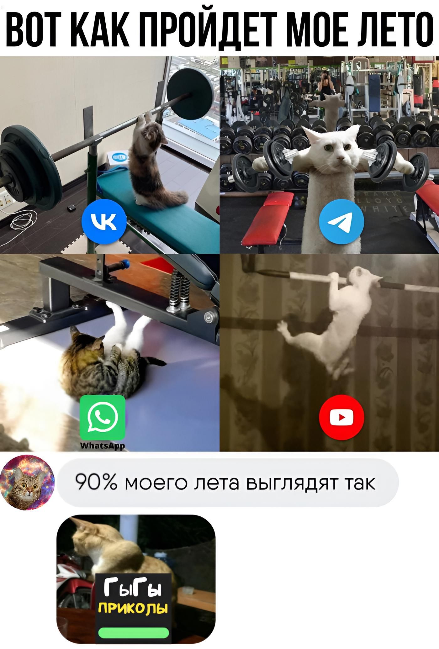 ВПТ КАК ПРОЙДЕТ МОЕ ЛЕТО іх ГыГы ПРИКдПы