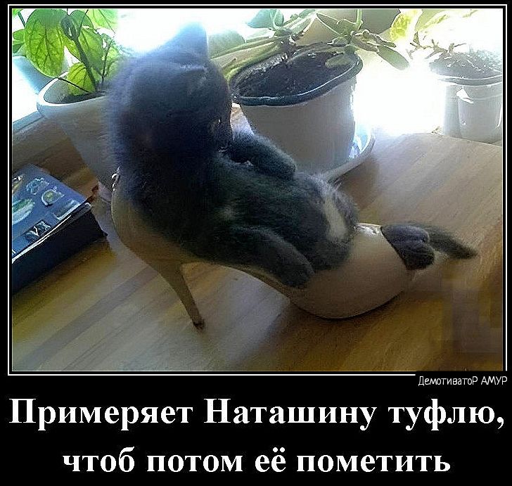 Дьцагищ Примеряет Наташину туфлю чтоб потом её пометить
