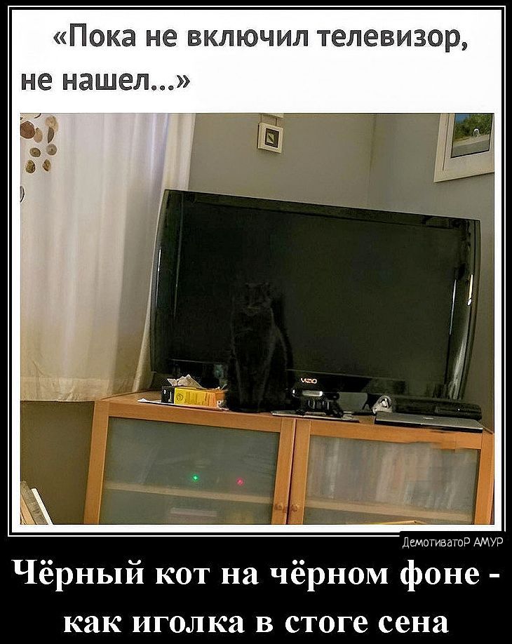 Пока не ВКЛЮЧИЛ телевизор не нашел Чёрный кот на чёрном фоне как иголки в стоге сена