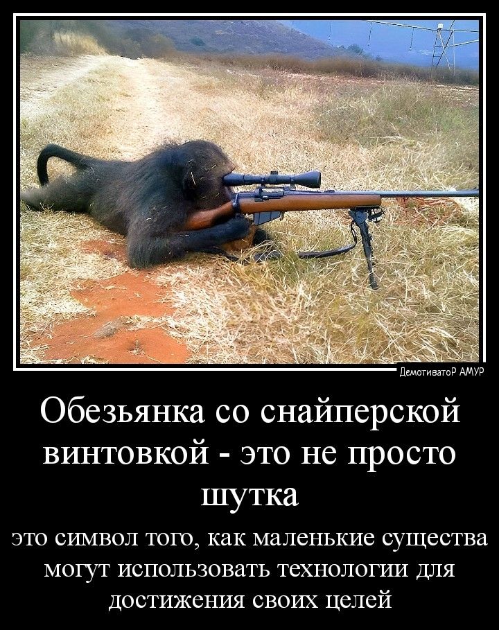 Обезьянка со снайперской винтовкой это не просто шутка ЭЮ СИМВОЛ ТОГО как Маленькие СУЩЕСТВЗ МОГУТ ИСПОЛЬЗОВЕТЬ ТСХПОЛОГИИ Ш1Я достижения своих целей