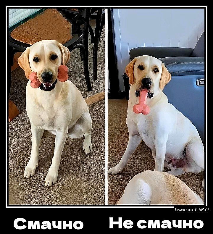 Смачно Не смачно
