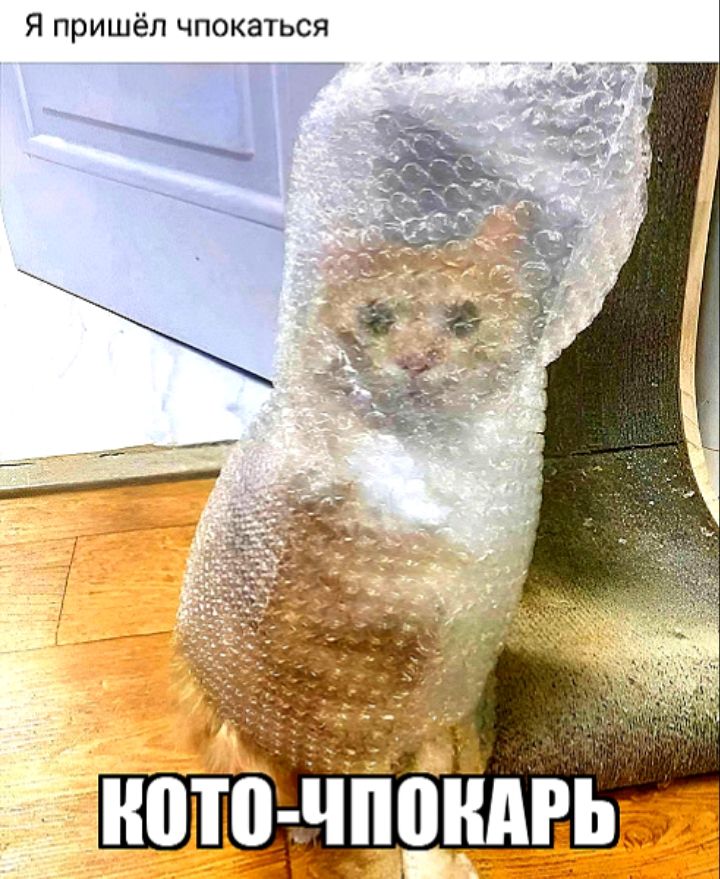 Я пришёл чпокагься