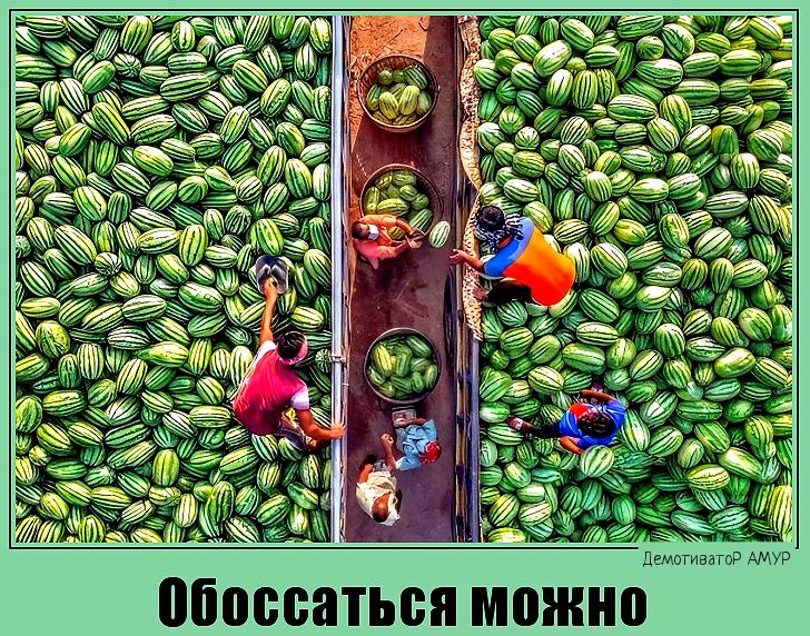 7 Обоссаться можно