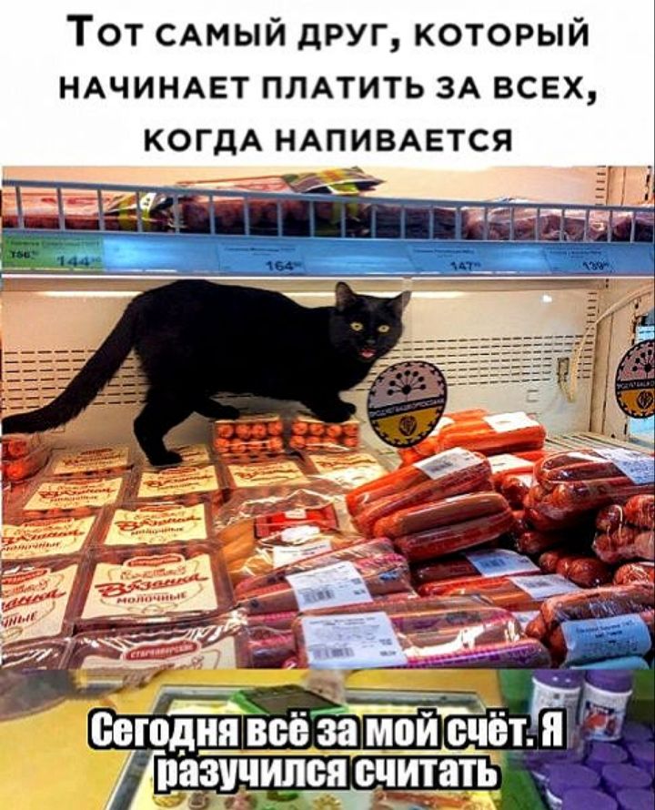 Тот самый друг который НАЧИНАЕТ ПЛАТИТЬ зд всех КОГДА НАПИВАЕТСЯ