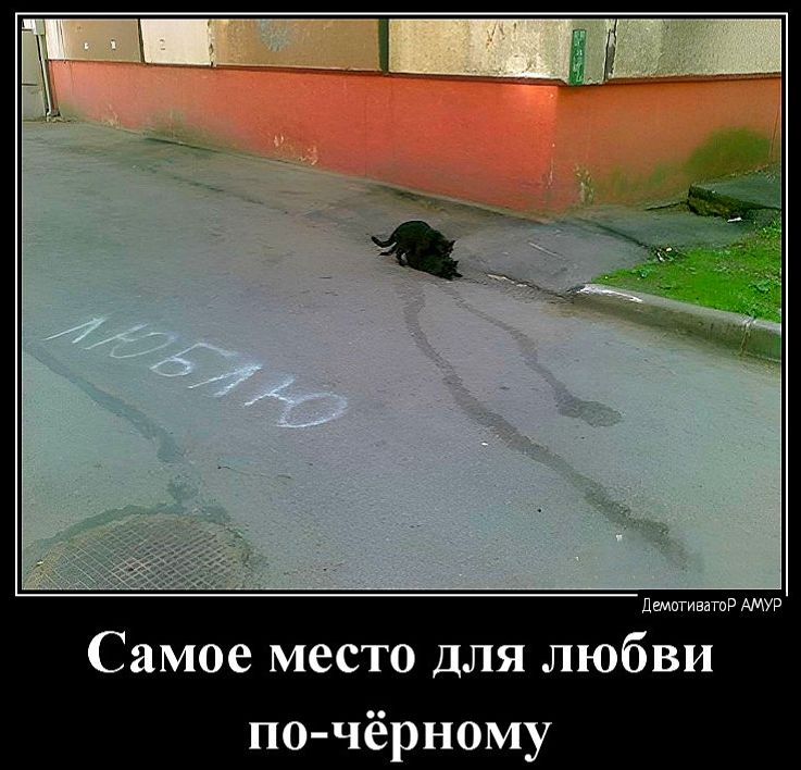 Дщтпщгпйдмт Самое место для любви по чёрному