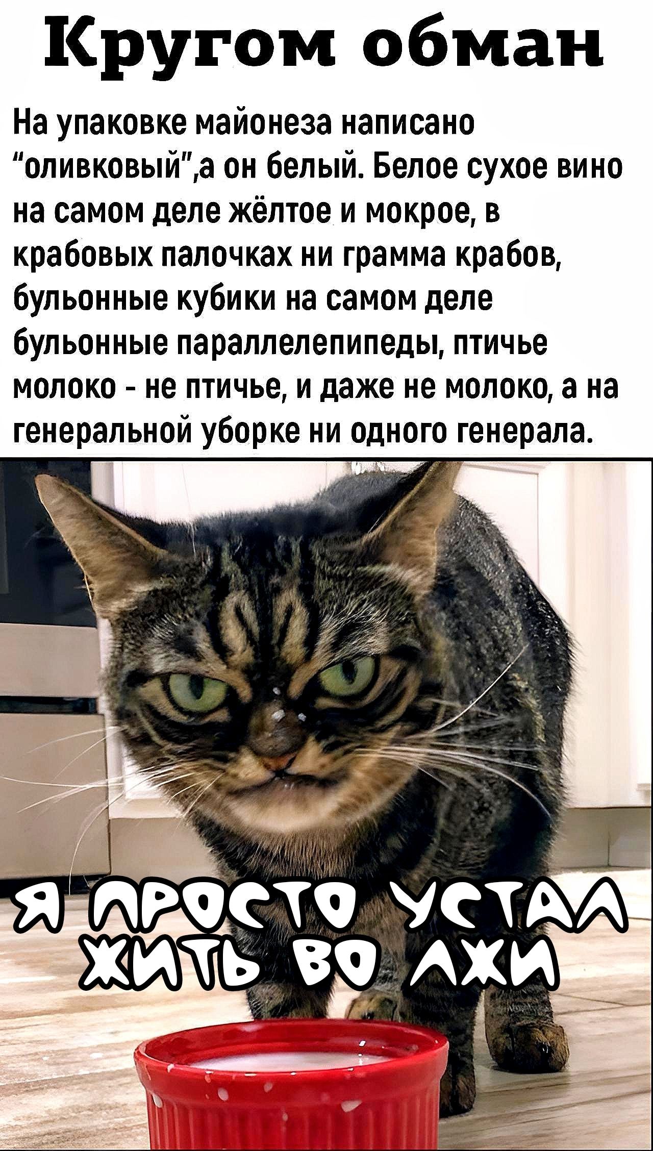 Кругом обман На упаковке майонеза написано оливковыйа он белый Белое сухое вино на самом деле жёлтое и мокрое в крабовых палочках ни грамма крабов бульонные кубики на самом деле Бульонные парапланепипеды тичье МОЛОКО не ПТИЧЬЕ И даже не МОЛОКО а на генеральной уборке ни одного генерала