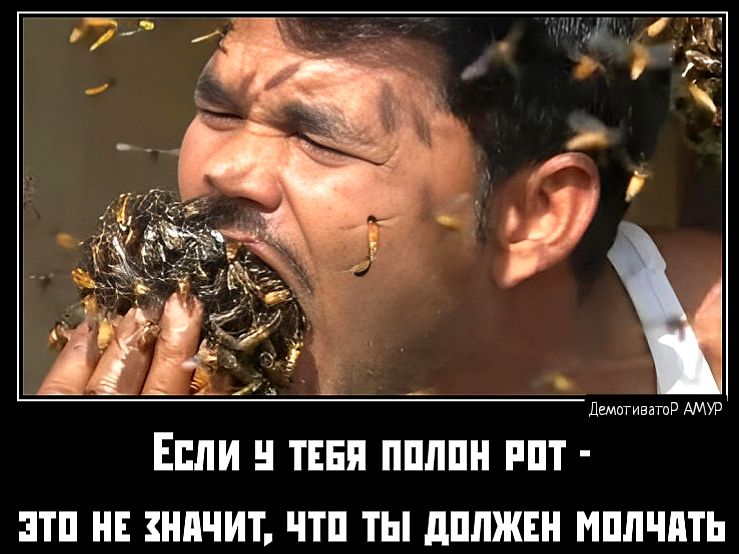 имт мю Если и тип ппппи ппт итп и кишит чтп ты дппжш нплчпть