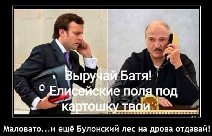 Маловатои ещё Булонскии лес на дрова отдавай