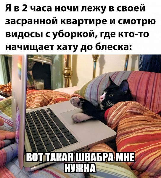 Я в 2 часа ночи лежу в своей засранной квартире и смотрю видосы уборкой где кто то начищает хату до блеска