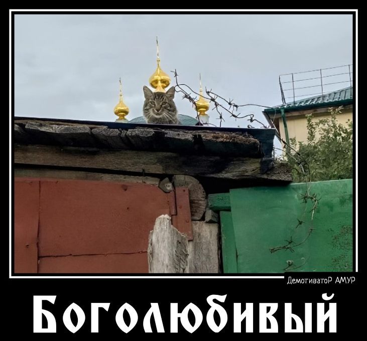 БогодюбивЫй