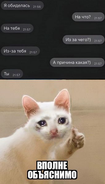 Я обиделась Из за чего и 57 Изза тебя А причина какая 15 ВПЩШЕ пвъпснимо