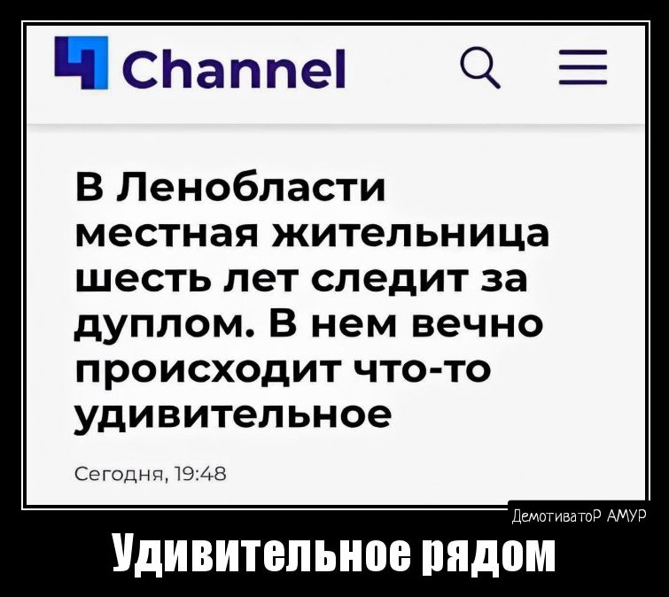 Ц СЬаппеі Е В Ленобласти местная жительница шесть лет следит за дуппом В нем вечно происходит что то удивительное Сггоцип ав УДИВИТБПЬИПЕ видом