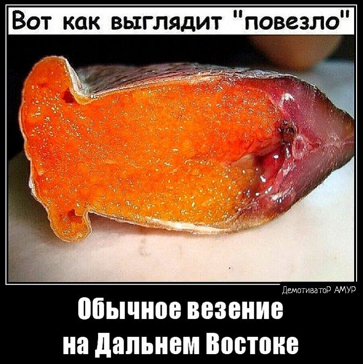 Вот как выглядит повезло мамы обычное везение на дальнем Бостоне