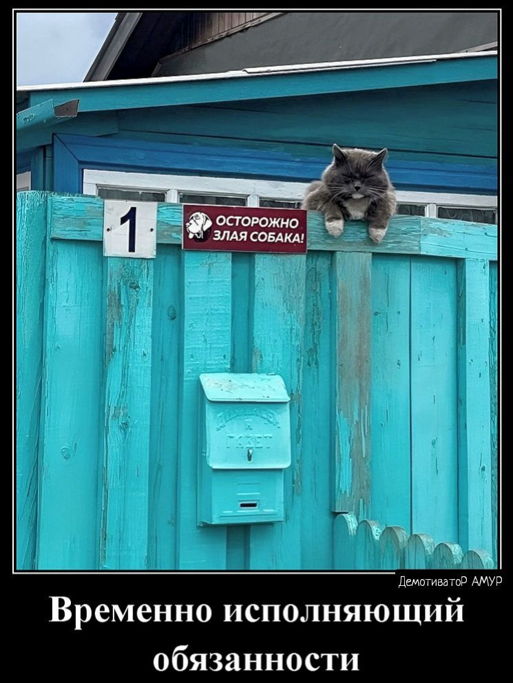 Временно исполняющий обязанности