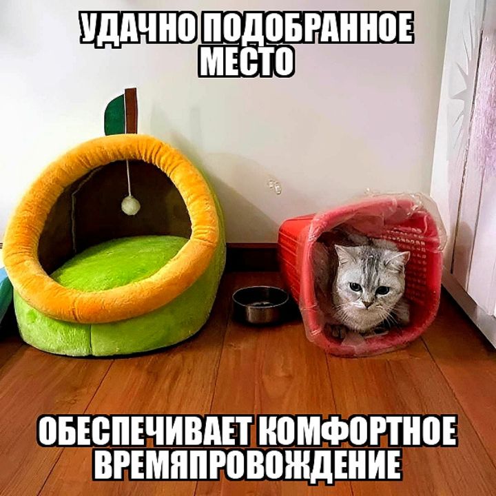 ШШШШЩ