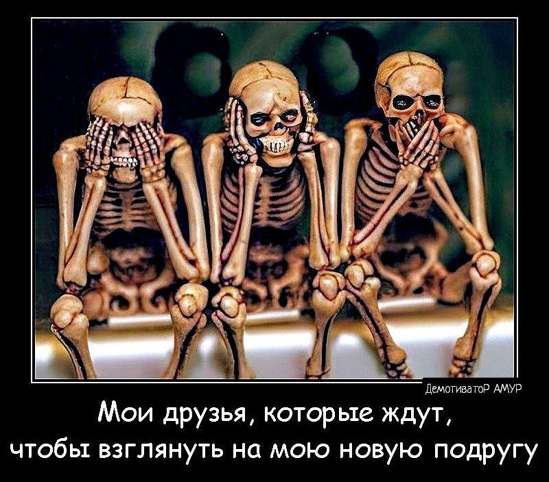 Мои друзья которые ждут чтобы взглянуть на мою новую подругу