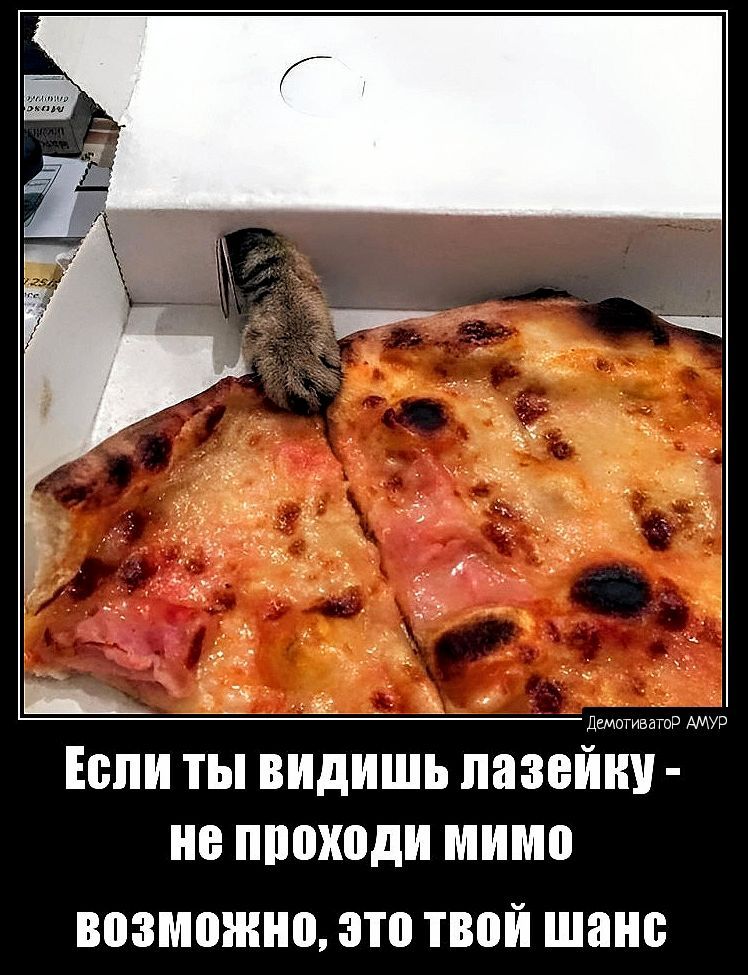 Щ Э Если ты видишь ПЯЗВШЁУ В ППШЮДИ МИМО ВПЗМШШШ это твой ШШШ