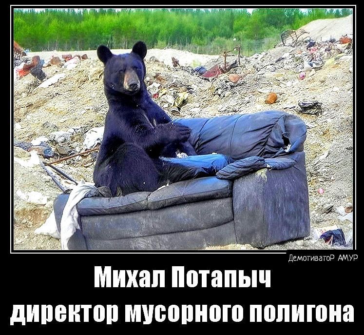 МИХЗП Потапыч дипеитпп МУБПШЮШ ПШПИШНЯ