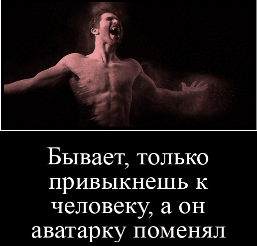 Бывает только привыкнешь к человеку а он аватарку поменял