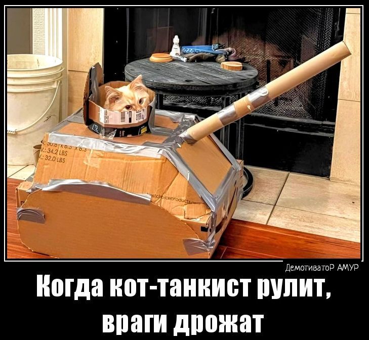 Мда нот танкист БУШ у ШШШ дпожат