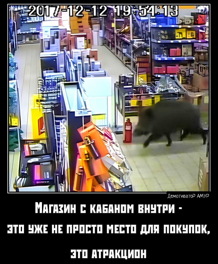 1і21 11219 14 д ИПМИ КЛЕЩ ППЦТРИ ЭТП ЖЕ ИЕ ПРПЕТП НЕЕТП ШШ ППКНППК ЭТП ПРИНЦИП