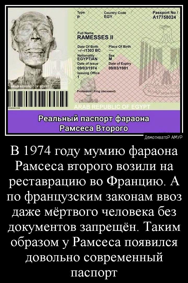 Реальный паспорт фараона Рамсеса Вчорого _ДштзашЭ В 1974 году мумию фараона Рамсеса второго возили на реставрацию во Францию А по французским законам ввоз даже мёртвого человека без документов запрещён Таким образом у Рамсеса появился довольно современный паспорт