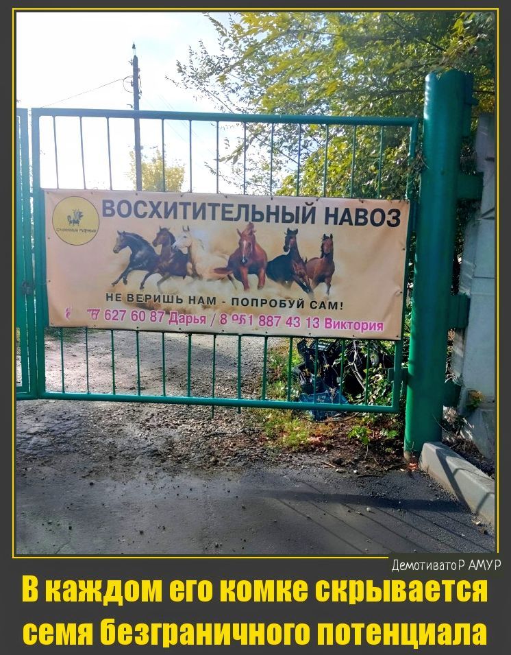 схитительный во