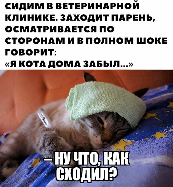 сидим В ВЕТЕРИНАРНОЙ КЛИНИКЕ ЗАХОДИТ ПАРЕНЬ ОСМАТРИВАЕТСЯ ПО СТОРОНАМ И В ОДНОМ ШОКЕ ГОВОРИТ Я КОТА дОМА ЗАБЫЛ ИУ чтондн ЁИВДИПЁ