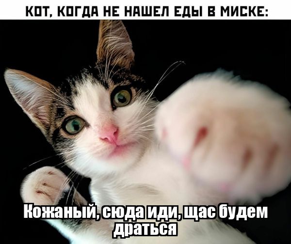 КПТ КПГдП НЕ НПШЕП Еды В МИЕКЕ