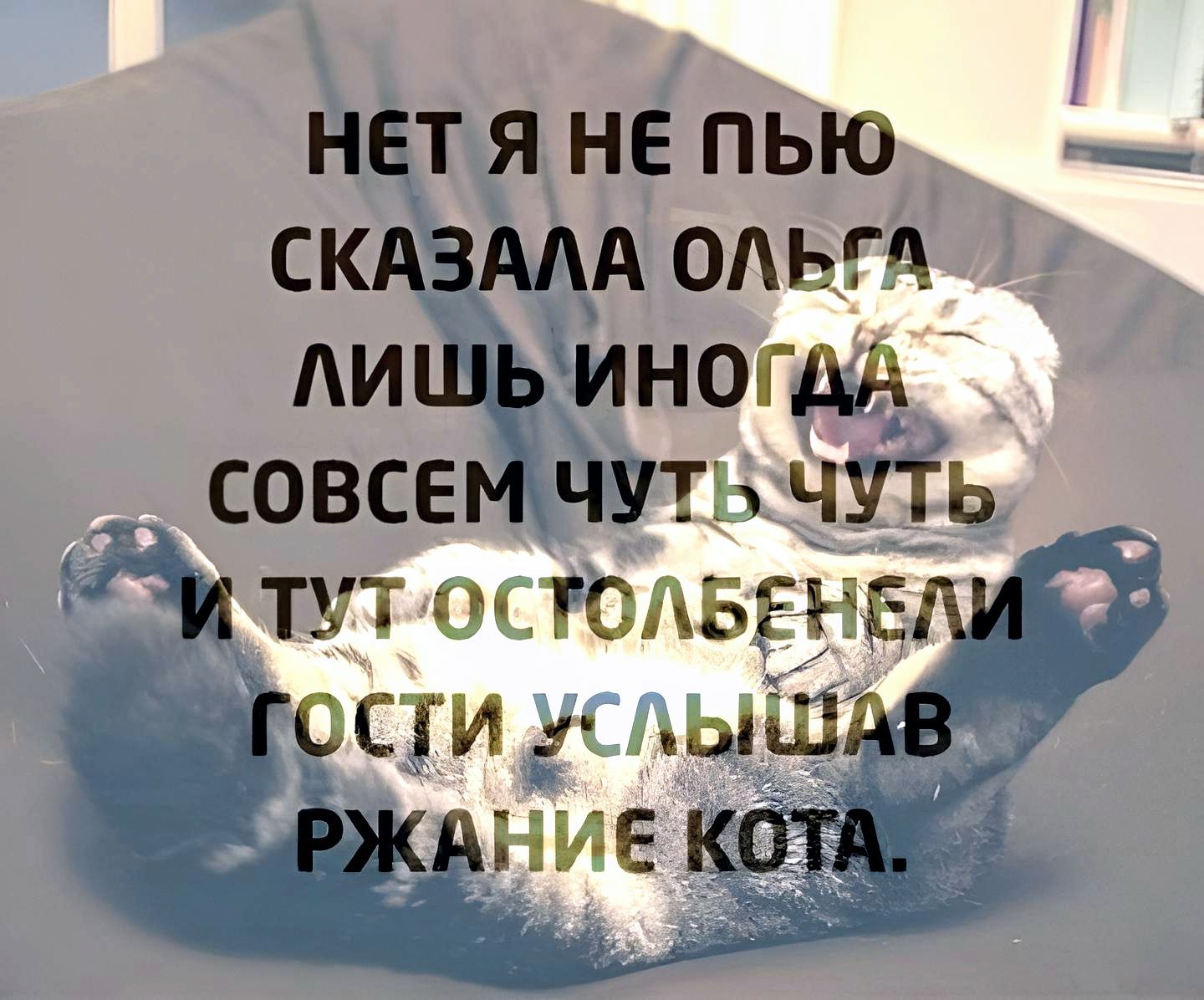 НЕТ Я НЕ ПЬ