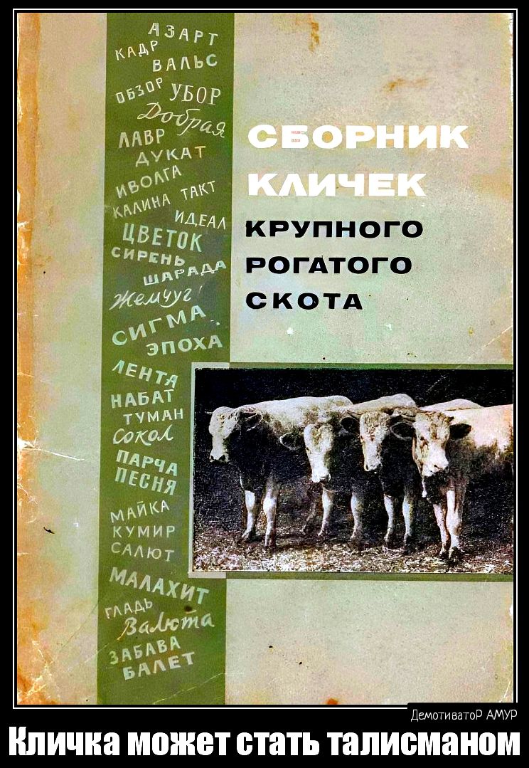 Сидни крупного лм РОГАТОГО Ппичиа ШШШ стать ШПИЁШЗППМ