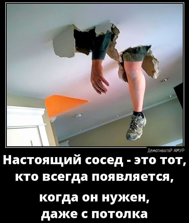 Настоящий сосед это то кто всегда появляется когда ОН НУЖЕН даже С ПОТОЛКа
