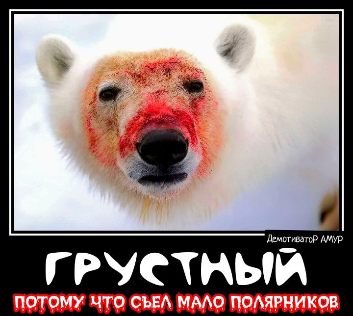 питьё