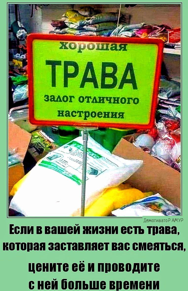 ТРАВА зшг отличного дщтившэ мт ЕБПИ В вашей ЖИЗНИ есть тпава иотппая заставляет ВШ БМВШЫШ цените её и пповпдитв ней больше времени