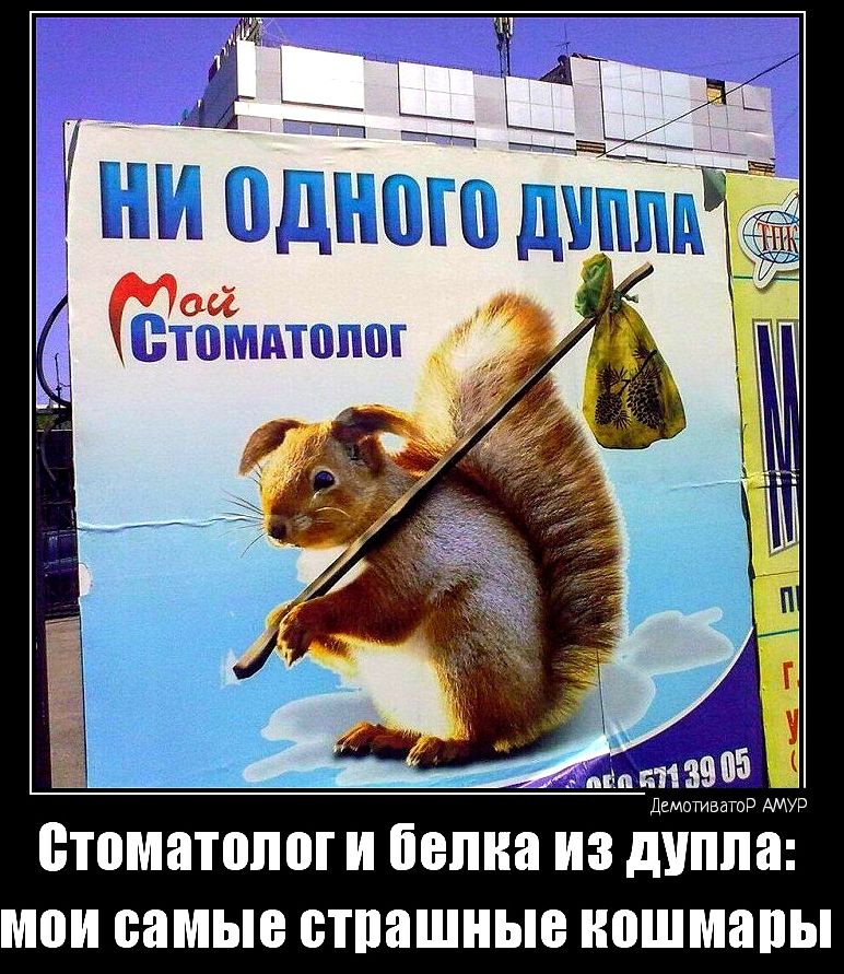 ЁТПМЗПШШ И белка ИЗ дупла самые СТПВШИЫЕ кошмары