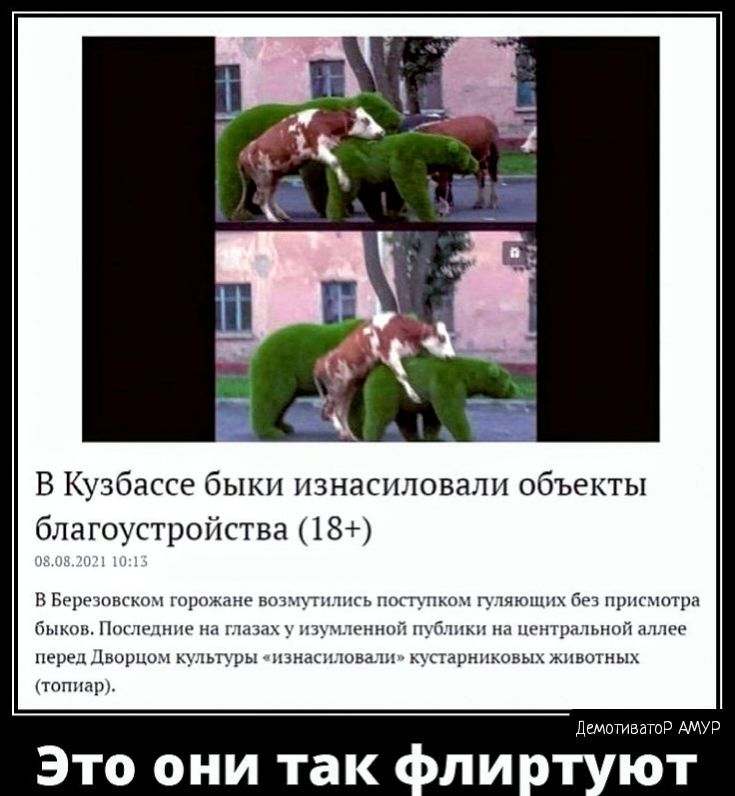 В Кузбассе быки изнасиловали объекты благоустройства 18