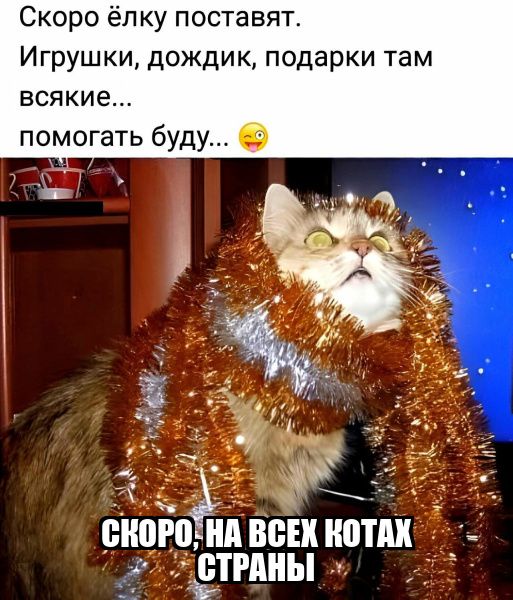 Скоро ёлку поставят Игрушки дождик подарки там всякие помогать буду