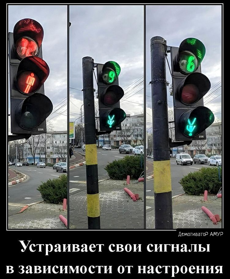 Устраивает свои сигналы в зависимости от настроения