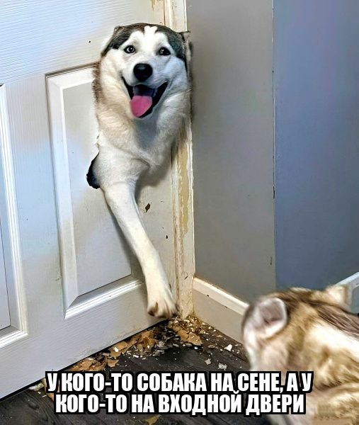 Ш П ЮБМШ ЦЕНЕ ного Т0 А випднпи ЛВЕР