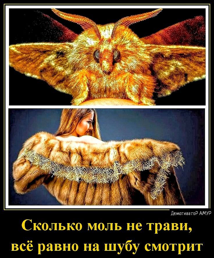 см гамму ГЛ