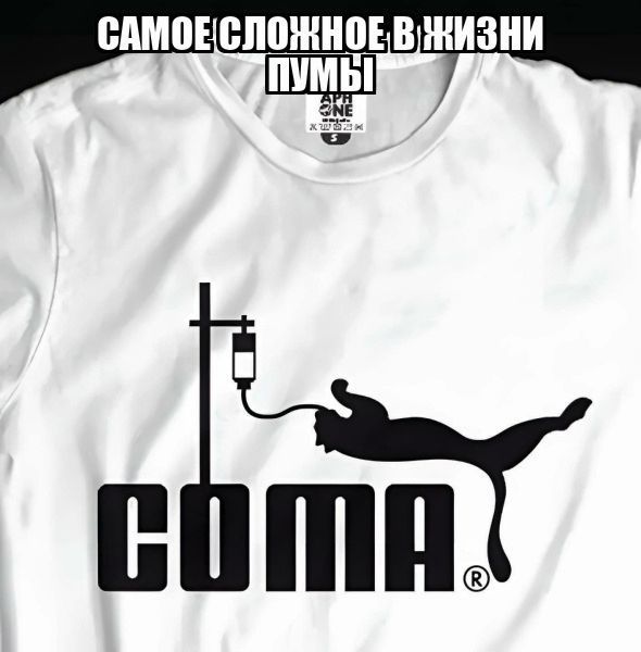 ШП