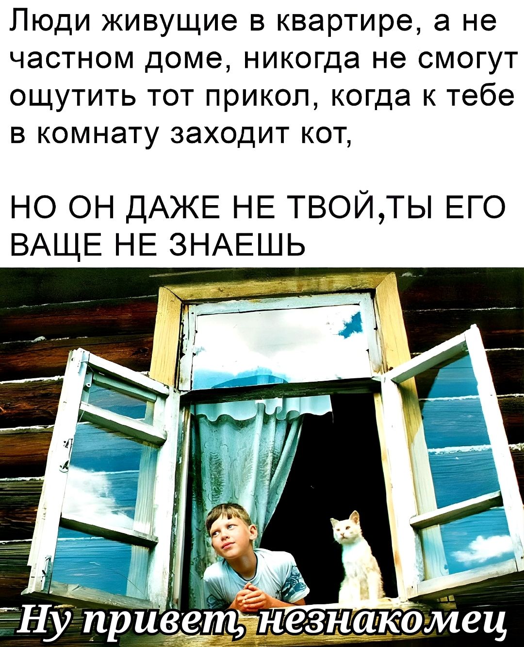 Пюди живущие в квартире а не частном доме никогда не смогут ощутить тот прикол когда к тебе в комнату заходит кот НО ОН ДАЖЕ НЕ ТВОЙТЫ ЕГО ВАЩЕ НЕ ЗНАЕШЬ