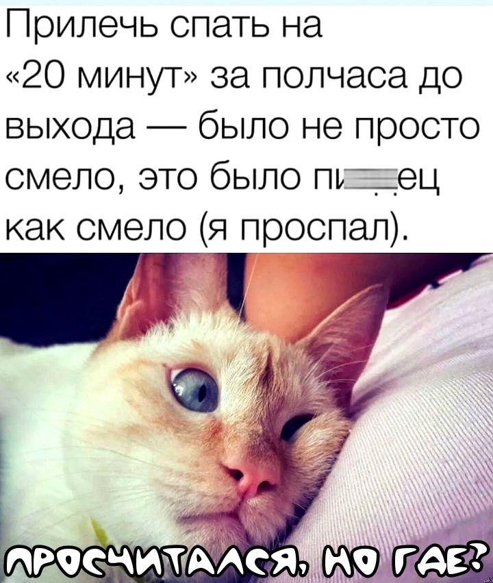 Прилечь спать на 20 минут за полчаса до выхода было не просто смело это было пьец как смело я проспал