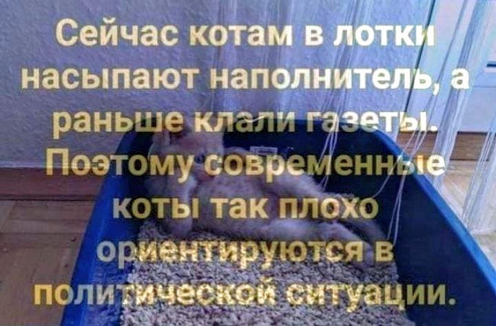 раньшеэцдііап Поэтом до менн кот ВКВЪЫЮ ош Зтв ПОПИ