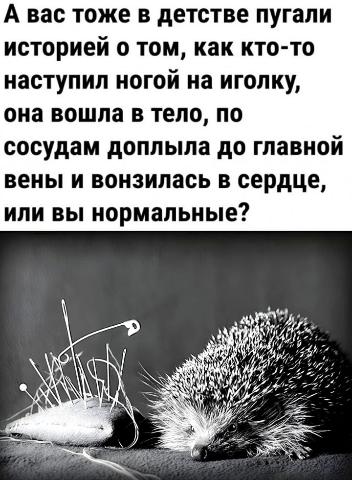 А вас тоже в детстве пугали историей о том как кто то наступил ногой на иголку она вошла в тело по сосудам доплыла до главной вены и вонзилась в сердце или вы нормальные